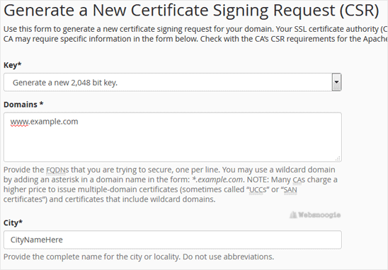 A great  example: cPanel image from our Omaha web design and SEO company