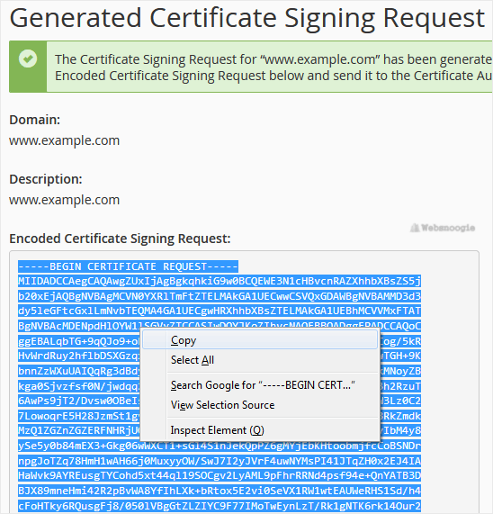 A great  example: cPanel image from our Omaha web design and SEO company