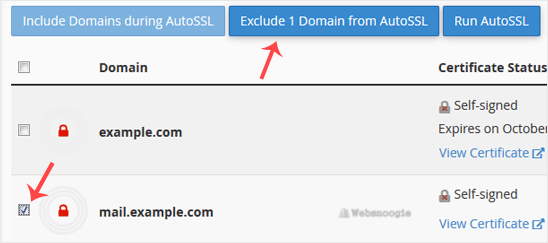 A great example: cPanel image from our Omaha web design and SEO company