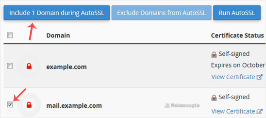 A great example: cPanel image from our Omaha web design and SEO company