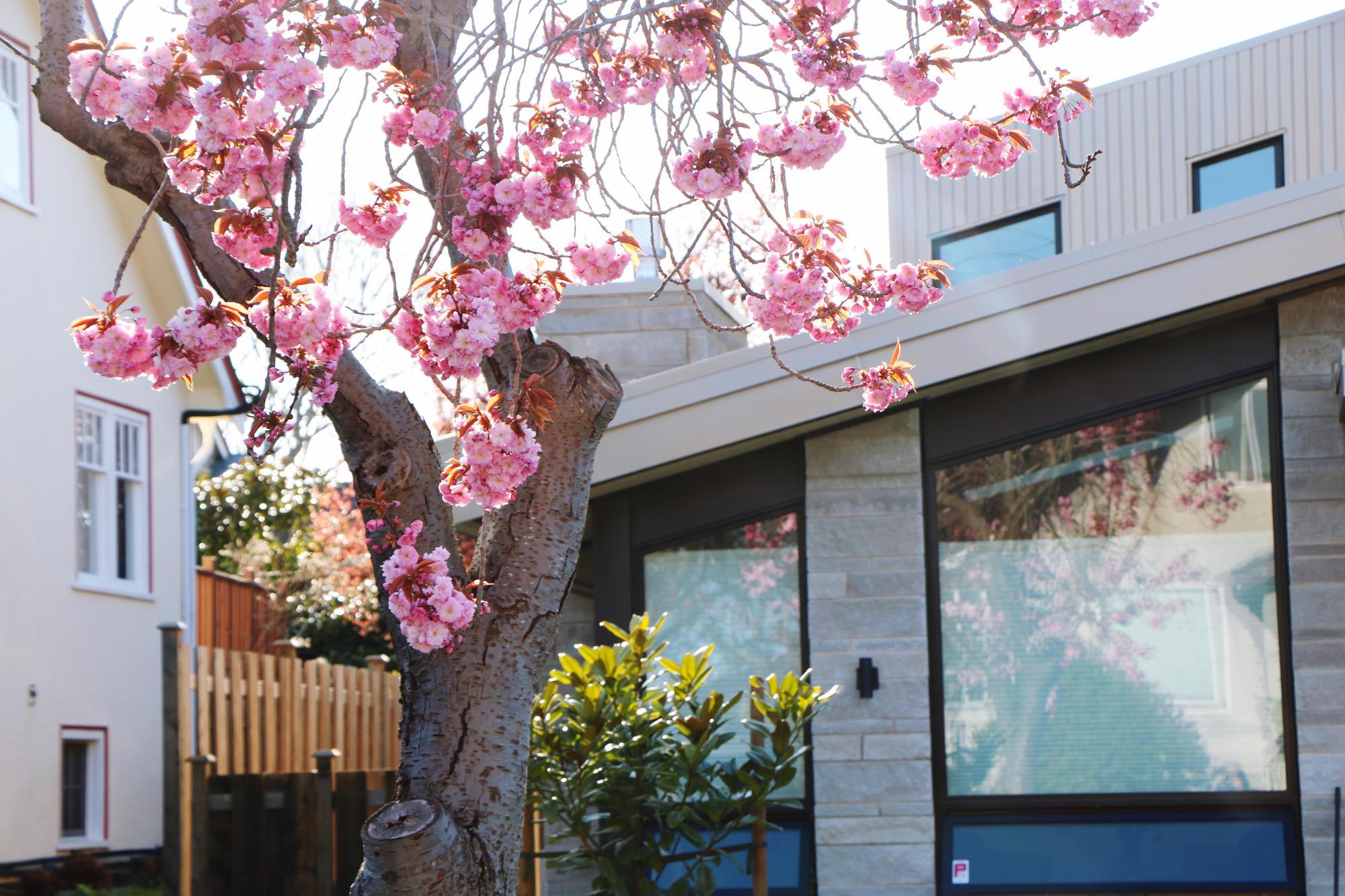 Bright spring storefront welcoming local customers